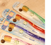 Toothbrush (Atomy)